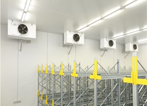 Cold Storage Solutions