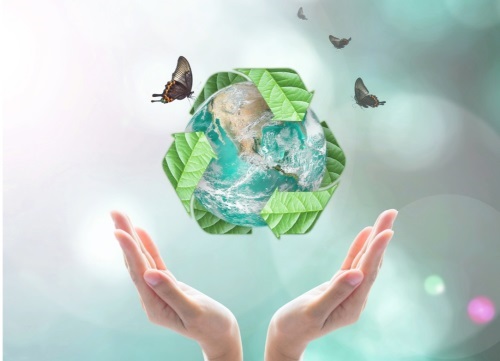 Waste Management Services